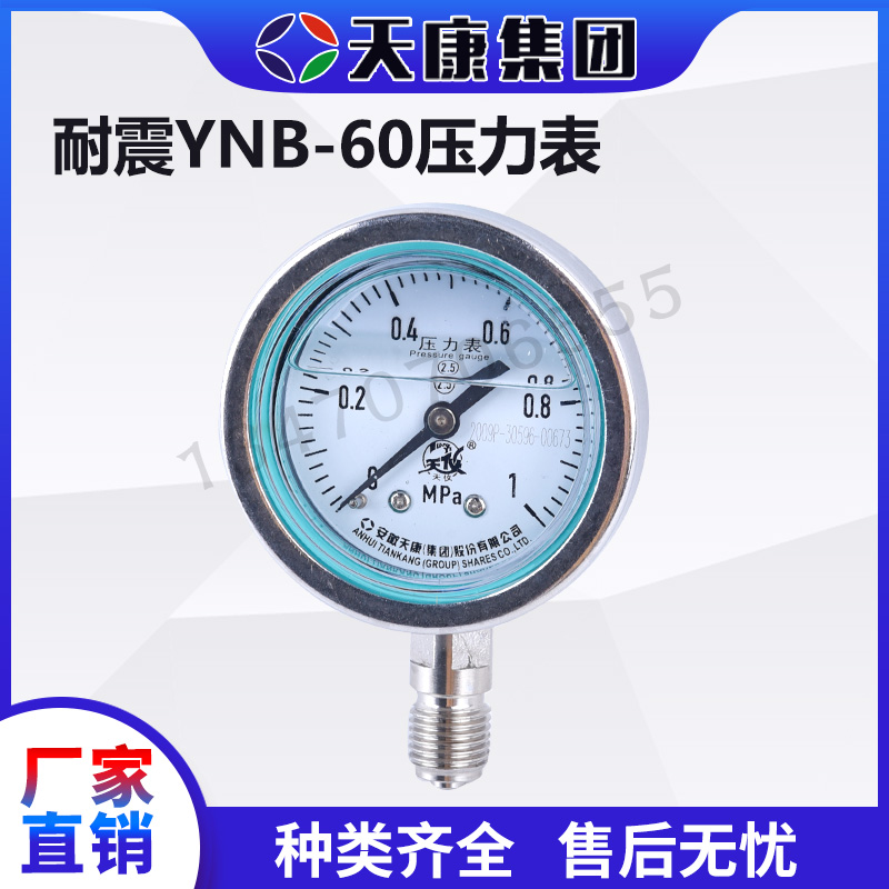 耐震YNB-60压力表.jpg